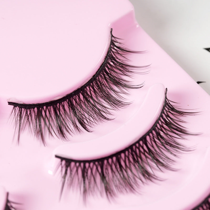 False Eyelashes 10PCS/Set - Peachy Glam